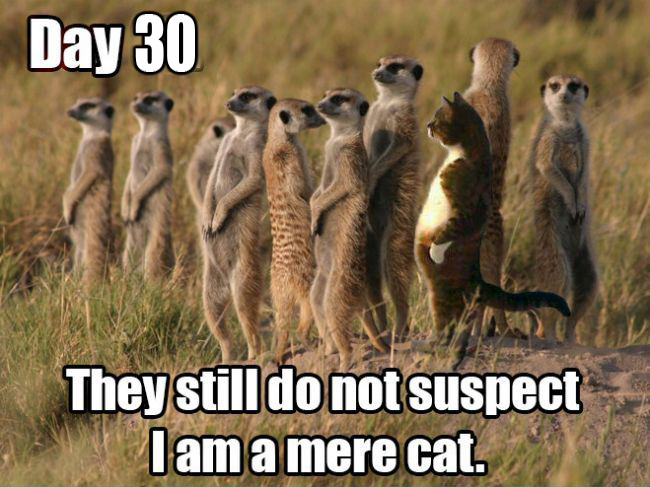 I’m on the highway to Hell…