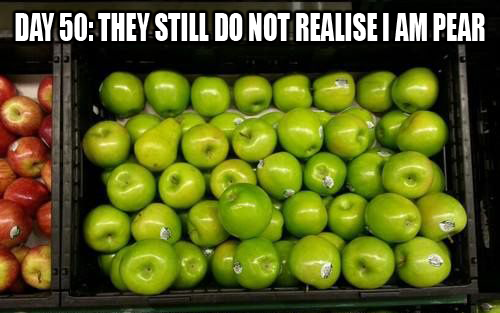 Whoa Oh! We’re Halfway There!