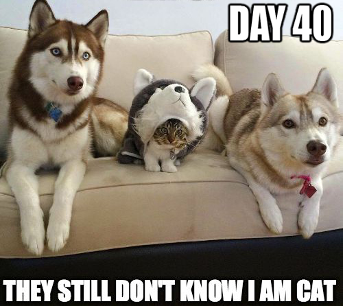 See the Darkstar rise..!