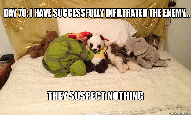 When you’re drawn to the ground by the dragons…