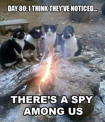 Evil can no longer cover their eyes…