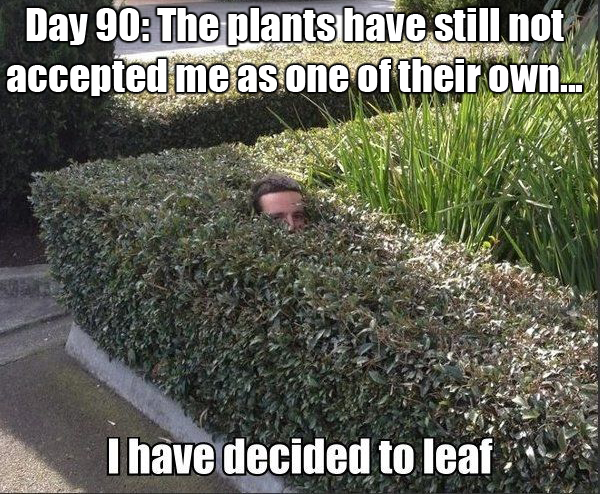 It’s a road through death and pain…